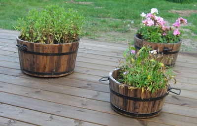 Blomstert&oslash;nder